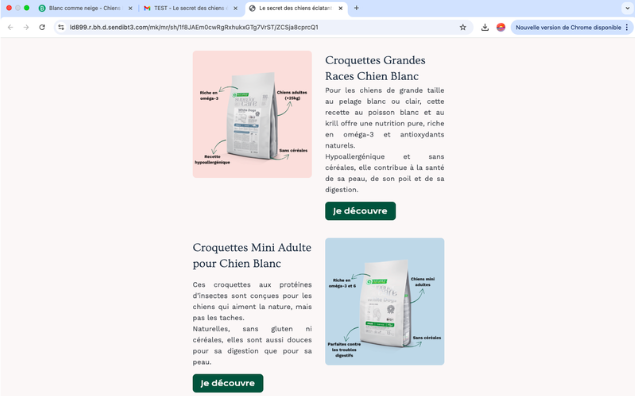 Emailing de campagne